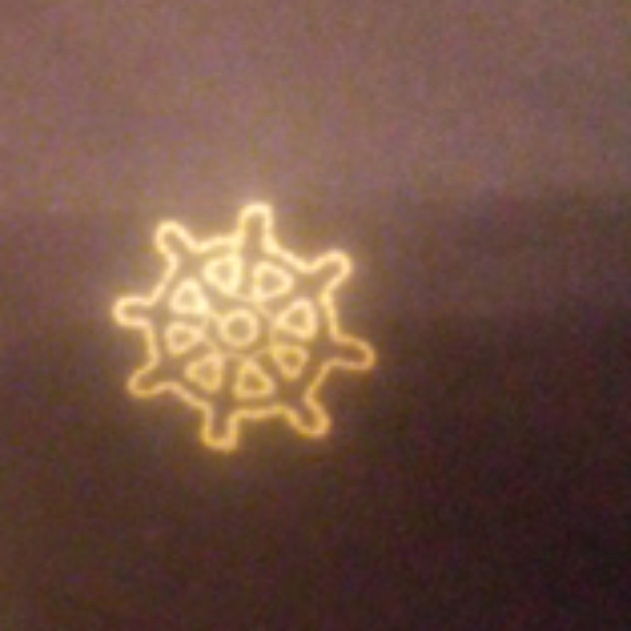 Shorts - Picture 4 of 5